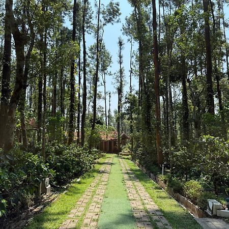 Coffee Grove Resort Chikmagalūr Kültér fotó