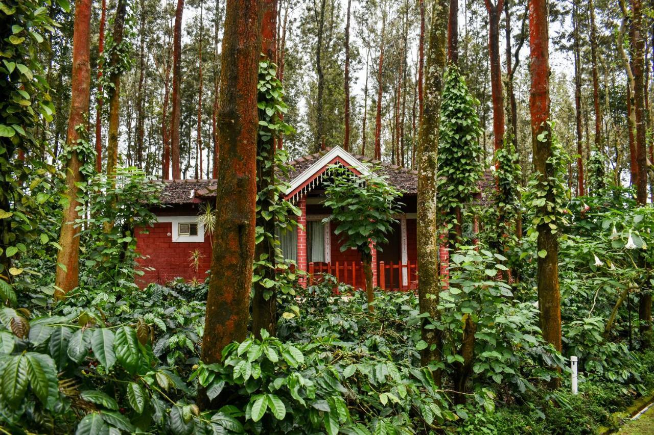Coffee Grove Resort Chikmagalūr Kültér fotó
