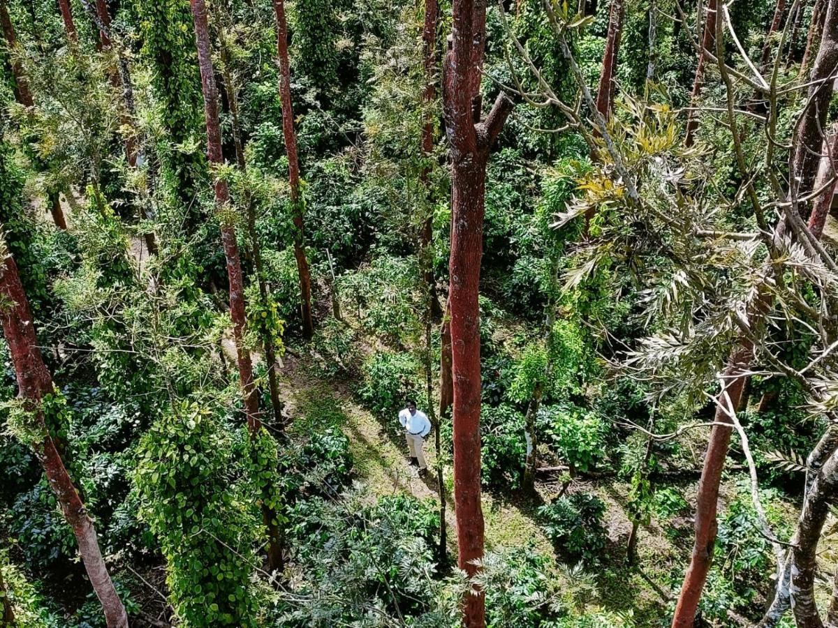Coffee Grove Resort Chikmagalūr Kültér fotó