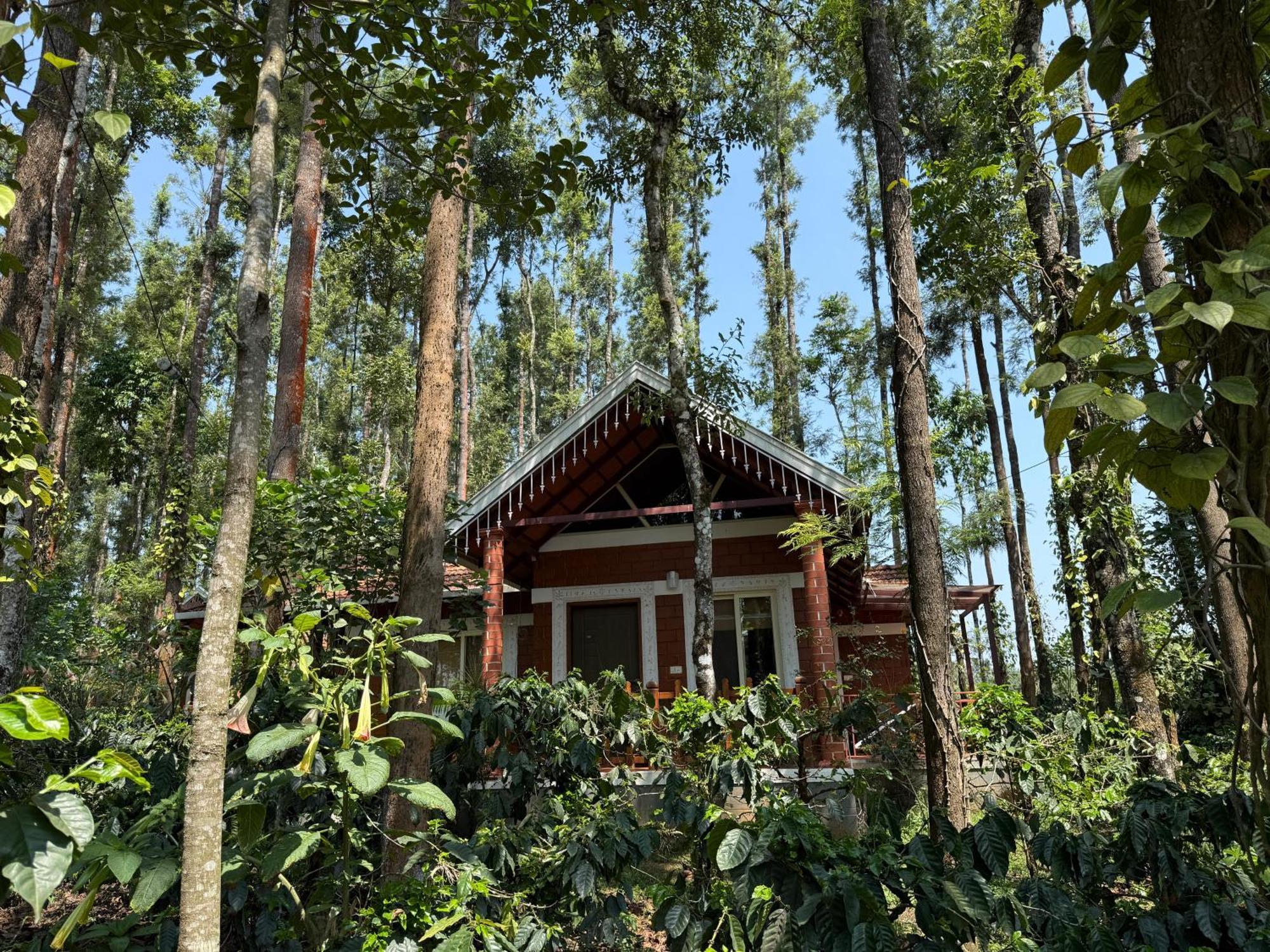 Coffee Grove Resort Chikmagalūr Kültér fotó