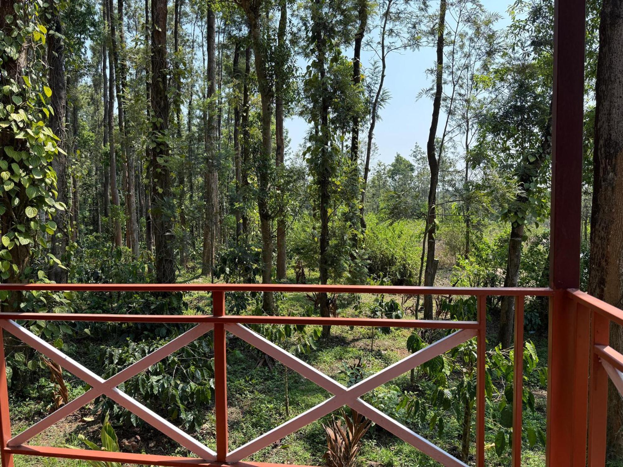 Coffee Grove Resort Chikmagalūr Kültér fotó