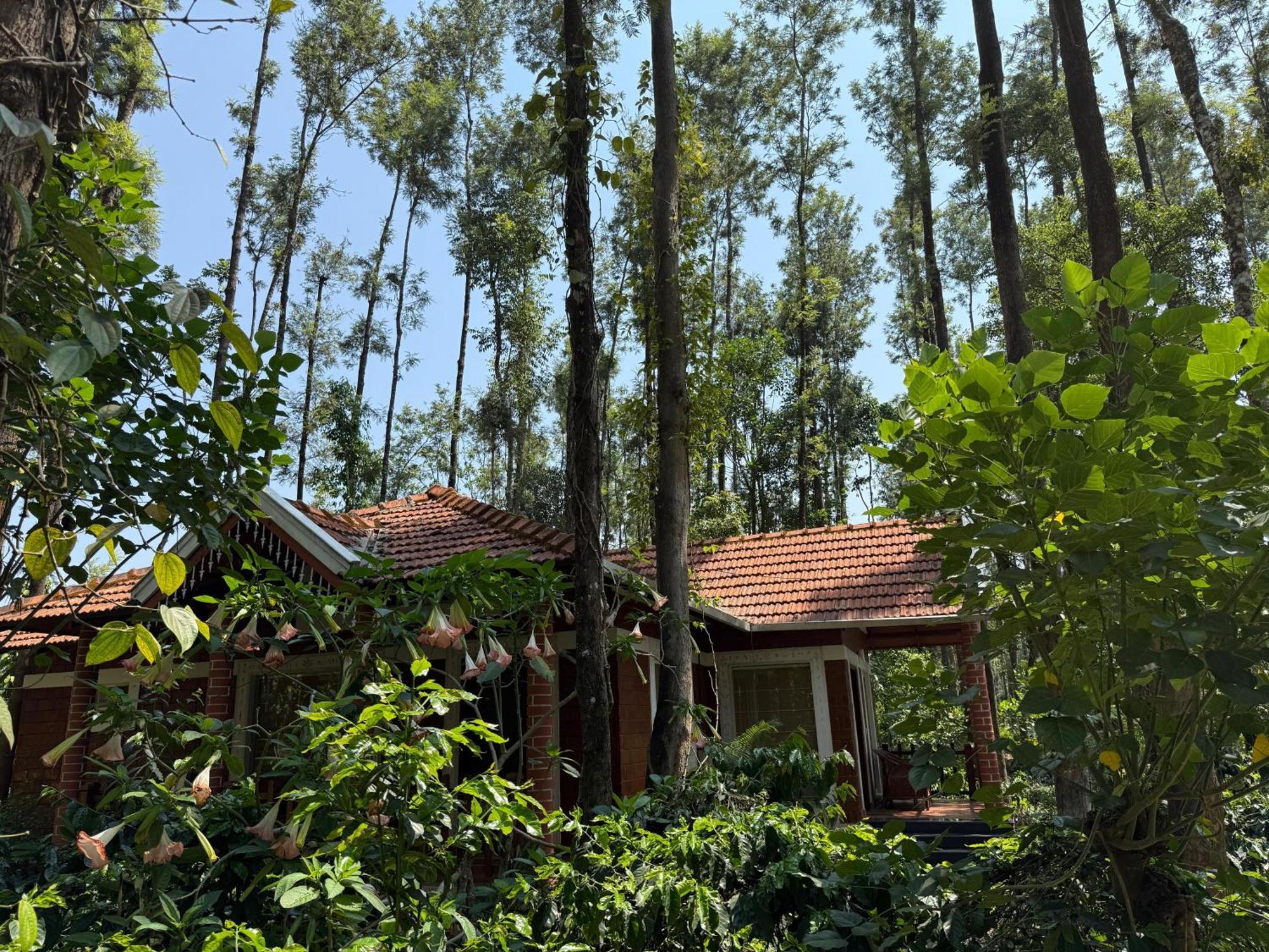 Coffee Grove Resort Chikmagalūr Kültér fotó