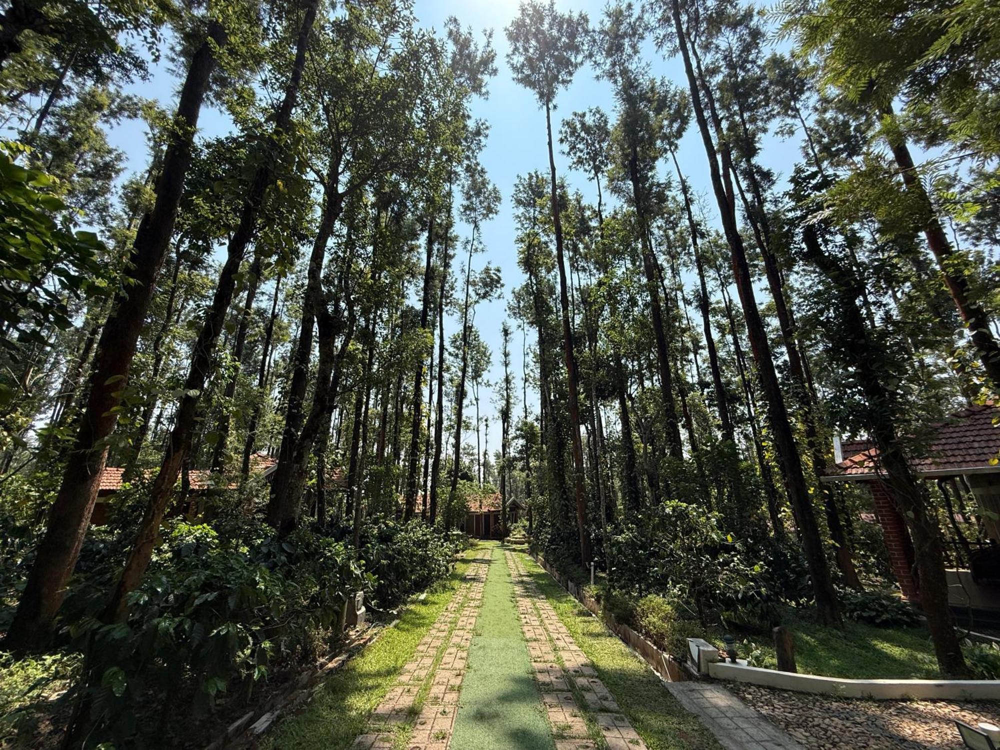 Coffee Grove Resort Chikmagalūr Kültér fotó