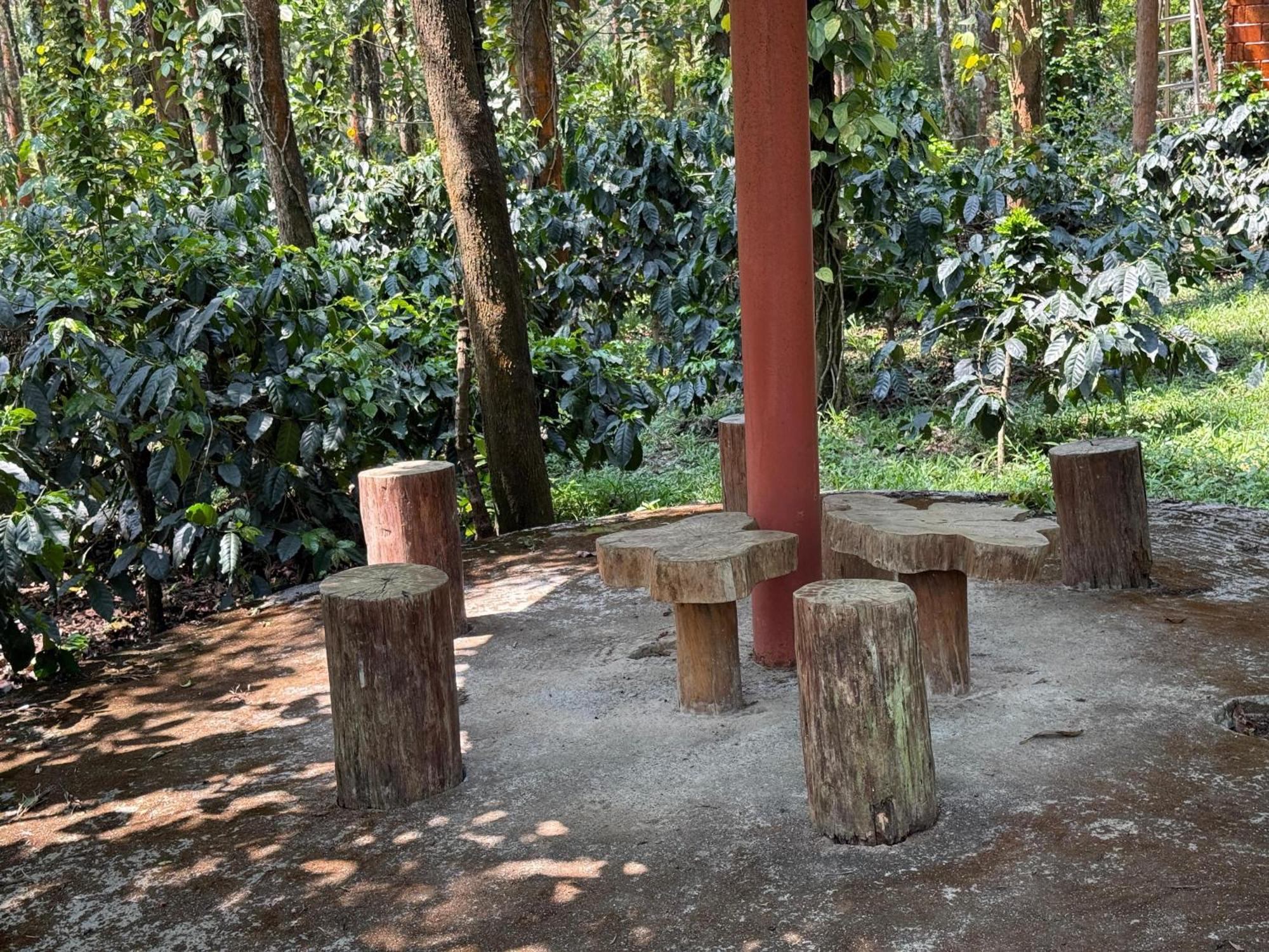 Coffee Grove Resort Chikmagalūr Kültér fotó