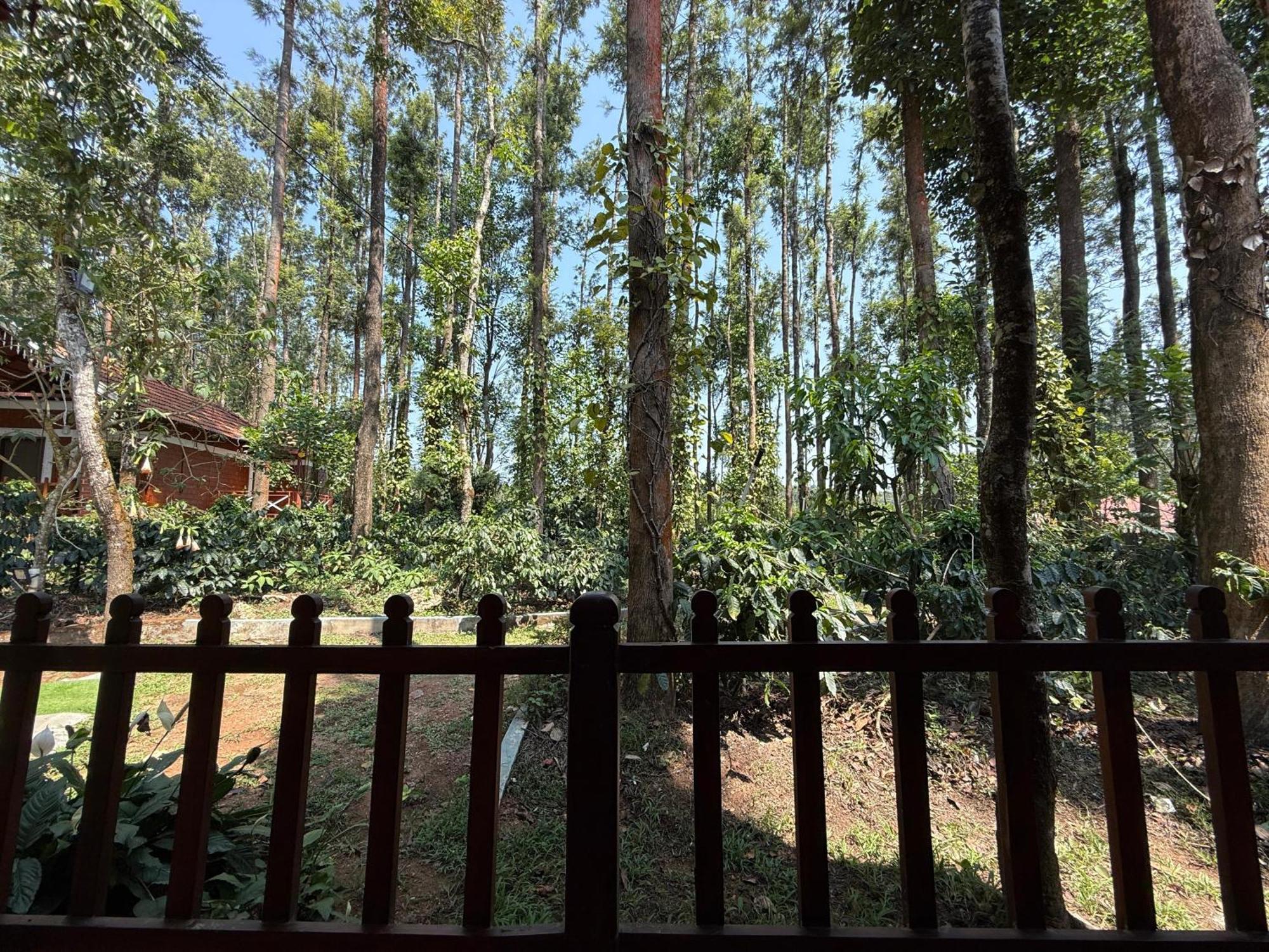 Coffee Grove Resort Chikmagalūr Kültér fotó