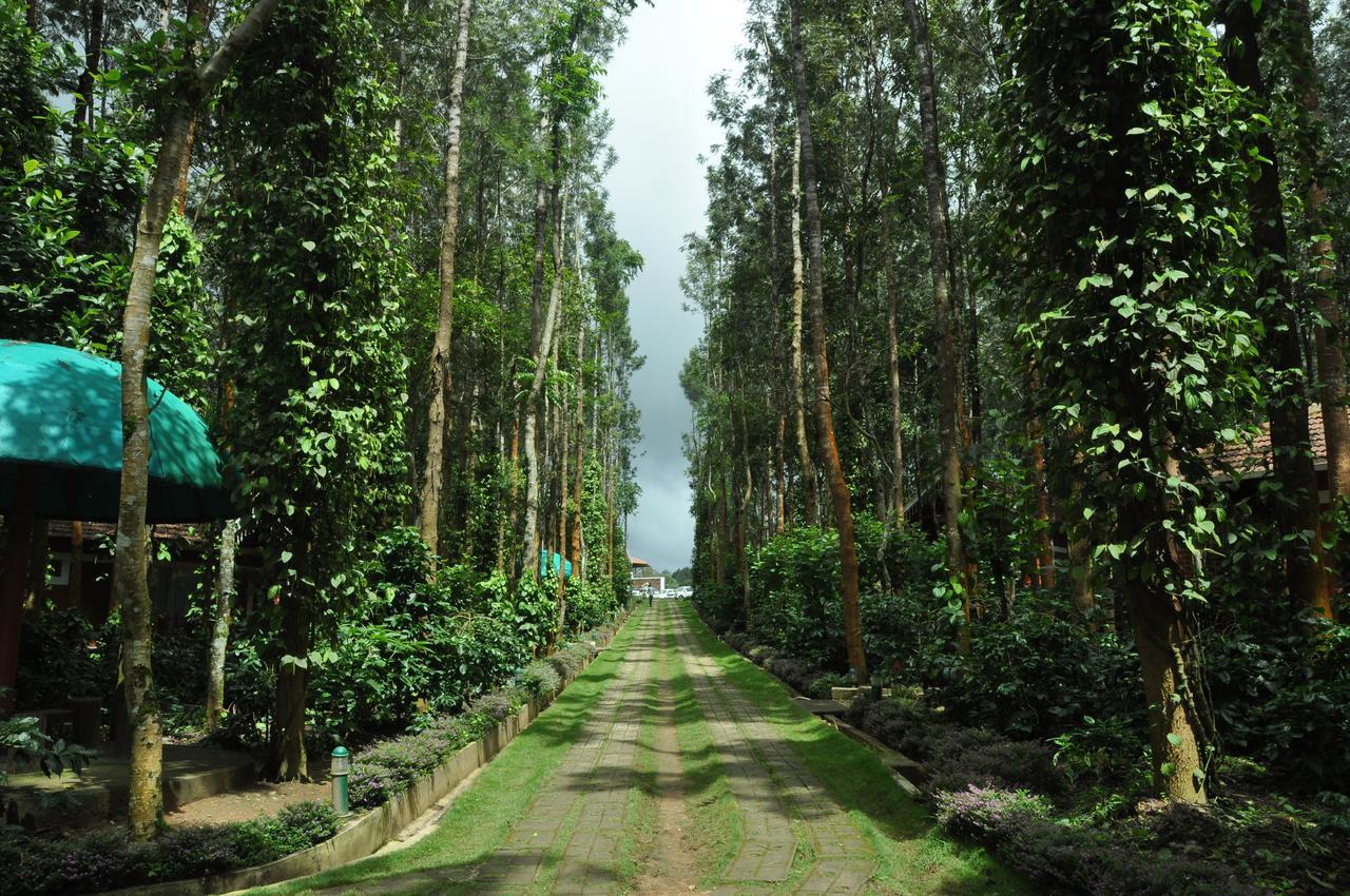 Coffee Grove Resort Chikmagalūr Kültér fotó